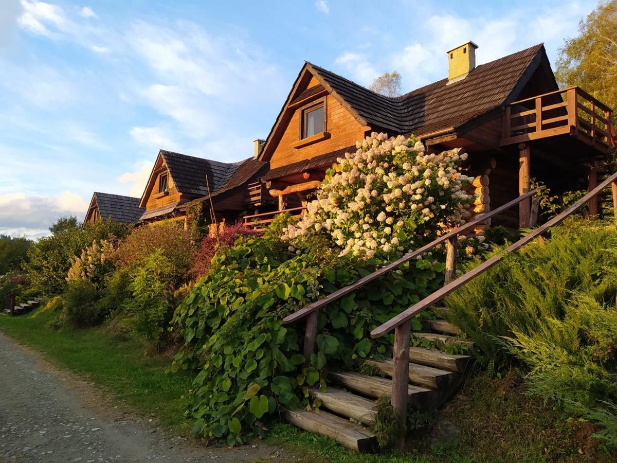 Wilcza Jama - Domki Z Bali Lutowiska Exterior foto